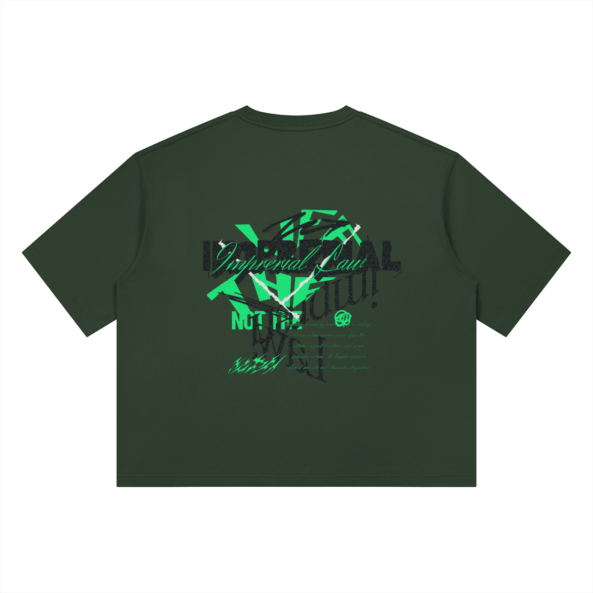 NOT THE FUTURE — Heavyweight Boxy Tee